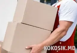 🏋️ Услуги Грузчиков в Бельцах