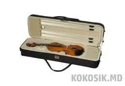Кейсы, кофры для скрипки