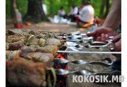 Аренда базы для шашлыков (закрытая территория в лесу)