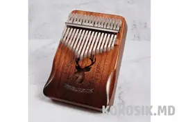 Калимба 21 нота (с твёрдым чехлом)