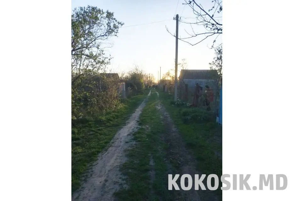 Дачные участки на берегу Днестра в Слободзее