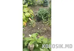 Плодородная земля с перегноем