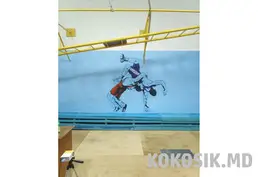 Рисунки на стенах в спортзалах
