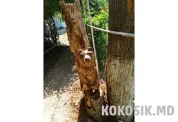Мишка из бревна