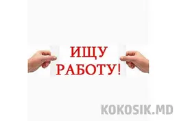 Педагог-психолог, HR, Делопроизводитель