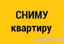 Молодая пара снимет квартиру. Без детей и животных