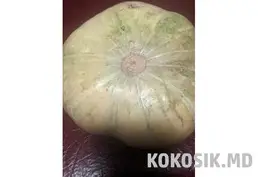 Гарбуз «Зимовий солодкий» (Лікувальний) | Калина та Часник