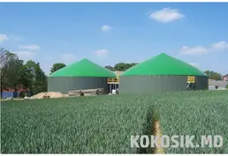 Біогазові установки Rohrplan від LTV mbH