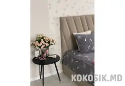 Посуточная аренда квартиры-студии в Тирасполе