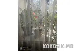 Продается жилой дом в с. Карагаш (40 соток)