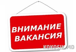 Вакантные места в строительно-производственную компанию — Тирасполь