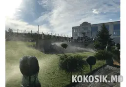 Установка автоматического полива Hunter
