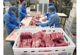 Angajare la producție Basarabia-Nord