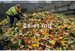 Utilizarea și reciclarea deșeurilor organice la Chișinău