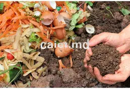 Utilizarea și reciclarea deșeurilor organice la Chișinău
