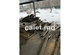 Бесплатный вывоз деревянных отходов и старой древесины в Рыбнице