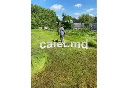Уборка и уход за садом в Кишиневе