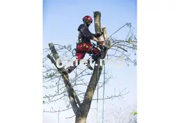 Amenajarea și curățenia grădinii în Chișinău