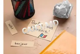 Cursuri individuale de limba franceză