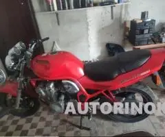 Suzuki Bandit | Из Германии