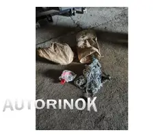 MC 50 Adv Karcher ММЗ Рыбница