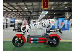 Электровелосипед MX (48V249W)