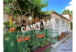 Casă cu un nivel, 50m², 31 августа 1989, Autorul Alina
