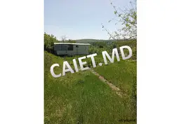 Teren pentru construcții, Sîngera, Periferie, str. Schinoasa