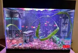 Мастерская по изготовлению аквариумов