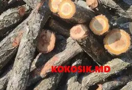 Дрова купить в ПМР