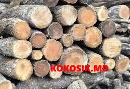 Дрова купить в ПМР