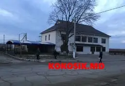 Caut partener de afaceri cu intenții serioase și investiție