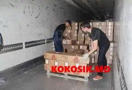 Профессиональная выгрузка фур