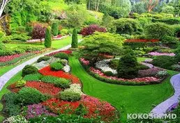 Ландшафтный дизайн 🌳