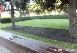 Ландшафтный дизайн 🌳