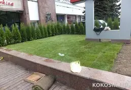 Ландшафтный дизайн 🌳