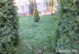 Ландшафтный дизайн 🌳