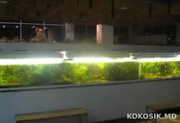 Аквариумы от 200 до 1000 литров 🐠