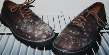 Cum să îndepărtezi mucegaiul de pe încălțăminte